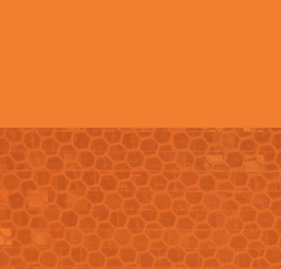 Avery Dennison Overlay OL-2004-SP Orange | Transparente Überlaminat | 1220 mm breit - Dinoflex