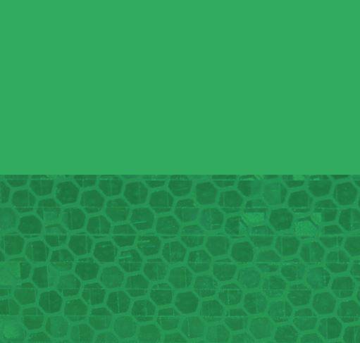 Avery Dennison Overlay OL-2007-SP Grün | Transparente Überlaminat | 1220 mm breit - Dinoflex