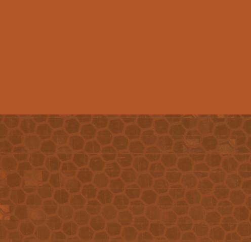 Avery Dennison Overlay OL-2009-SF Braun | Transparente Überlaminat | 1220 mm breit - Dinoflex