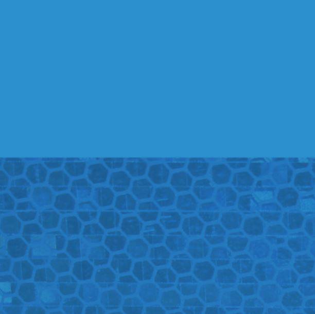 Avery Dennison Overlay OL-2005-SP Blau | Transparente Überlaminat | 1220 mm breit - Dinoflex