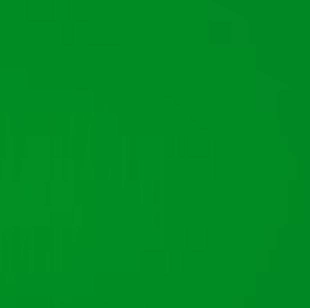 Avery Dennison T-1507 Grün | RA1/A | Retro Reflektierend | 1220 mm breit - Dinoflex