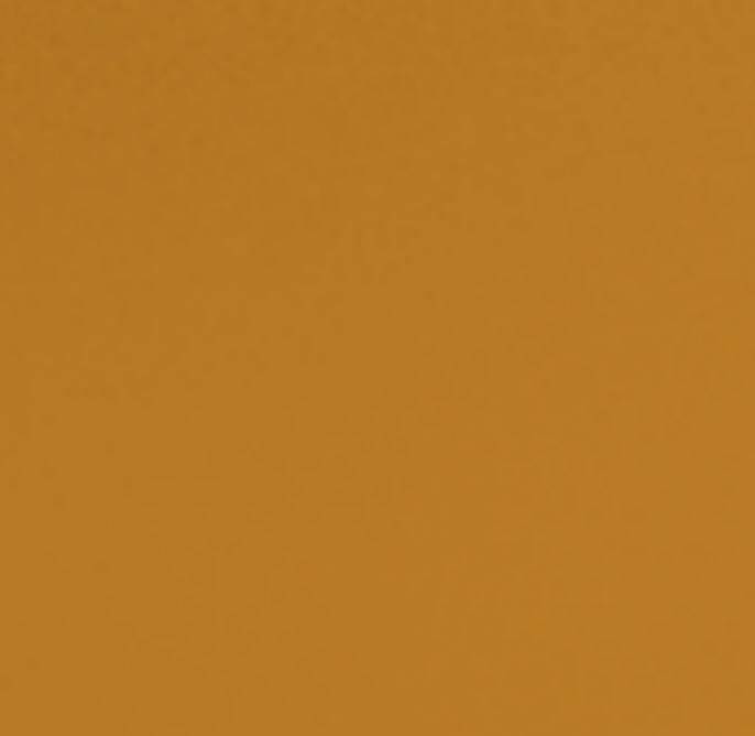 Avery Dennison V-4000-235 E Gelb| Retro-Reflektierend | 1220mm breit - Dinoflex