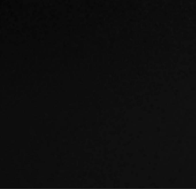 Avery Dennison V-4000-190 Schwarz | Retro-Reflektierend | 1220mm breit - Dinoflex